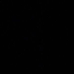 Meet your Posher, Kaylee